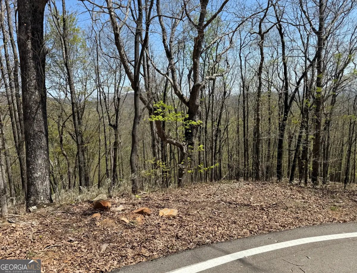 7248 Ridgeview Drive, Big Canoe, GA 30143 - Image #1