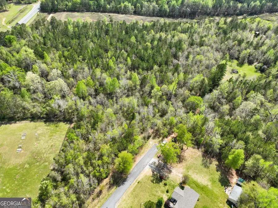 0 Us Highway 80 #LOT 1, Dry Branch, GA 31020 - Image #3