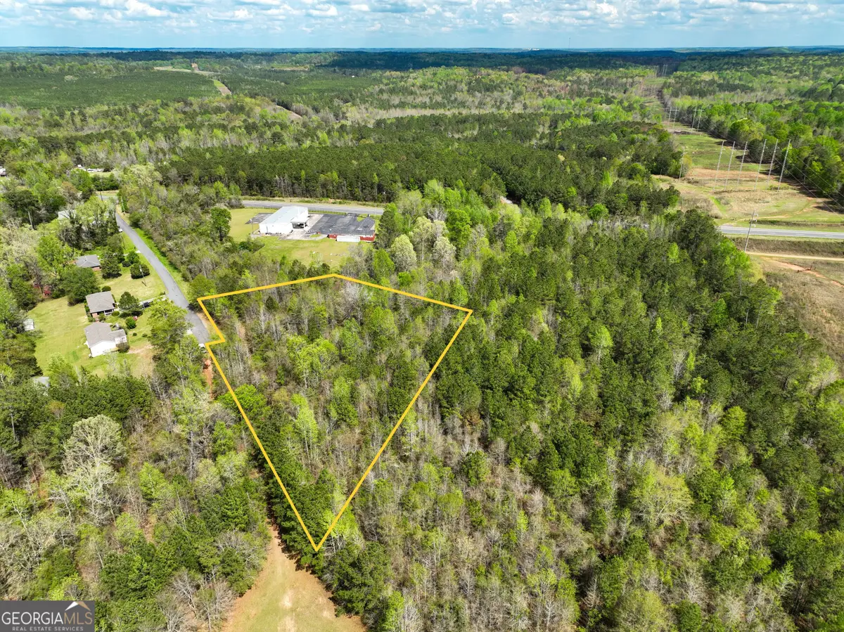0 Highway 80 #LOT 2, Dry Branch, GA 31020 - Image #1