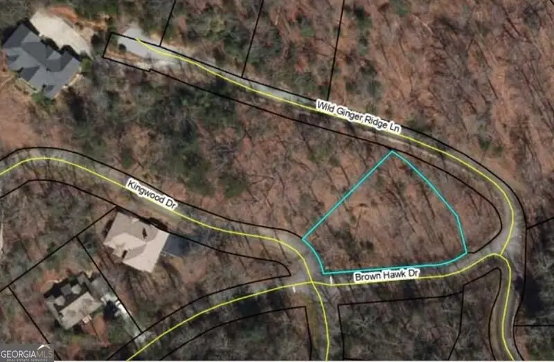 0 Brown Hawk Drive, Clayton, GA 30525 - #2