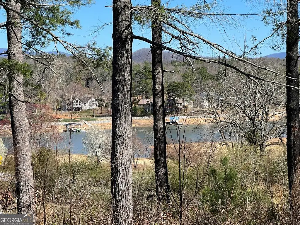 LOT 173 Highland Park, Blairsville, GA 30512 - #1