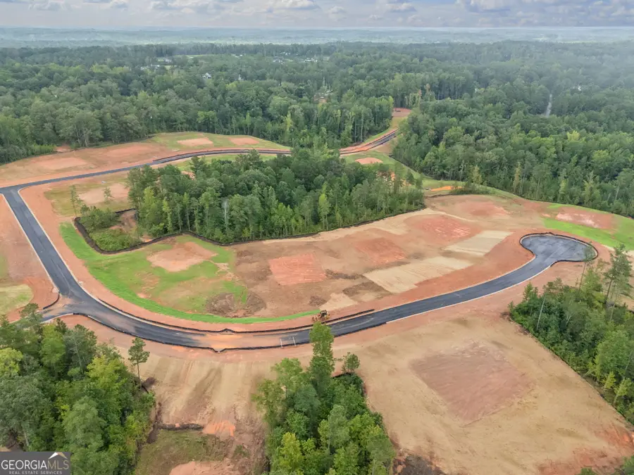 0 Smokey Road, Newnan, GA 30263 - #3