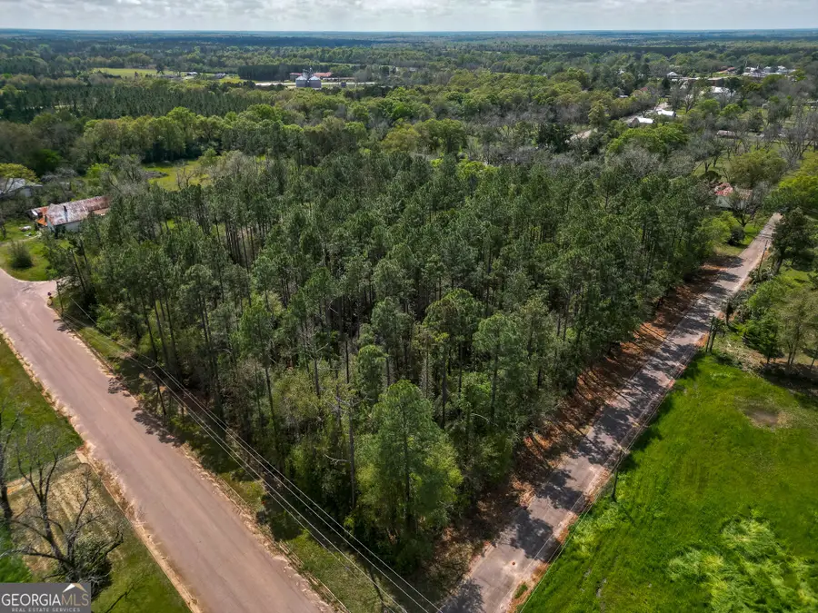 109 Main Street, Parrott, GA 39877 - Image #2