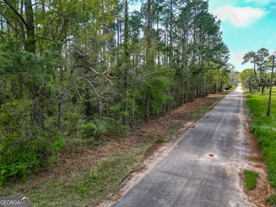 109 Main Street, Parrott, GA 39877 - Image #3