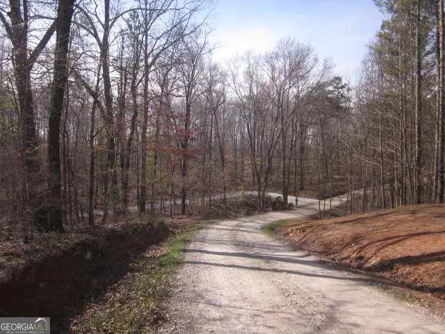 0 Bear Creek Road, Talking Rock, GA 30175 - #2