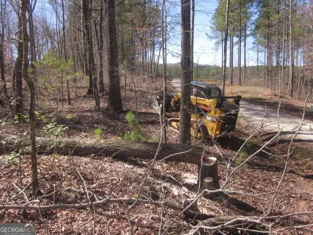 0 Bear Creek Road, Talking Rock, GA 30175 - #3