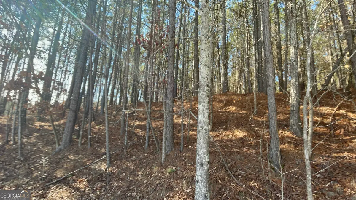 0 Shannon Parkway, Union City, GA 30291 - Image #1