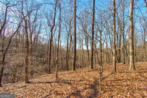 500 Chapman Ridge Lane, Dahlonega, GA 30533