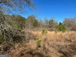 871 Eufalula Highway, Fort Gaines, GA 39851 - Image #2