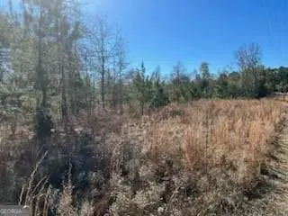 871 Eufalula Highway, Fort Gaines, GA 39851 - Image #3