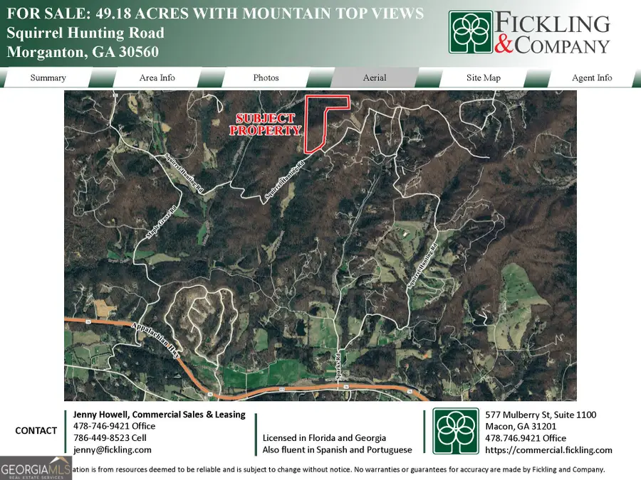 0 Squirrel Hunting Road, Morganton, GA 30560 - Image #3