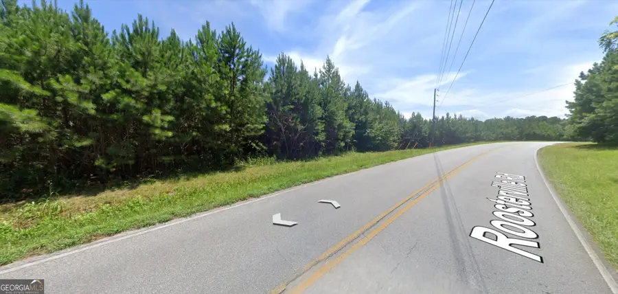 0 Roosterville Road #TRACT 4, Franklin, GA 30217 - Image #3