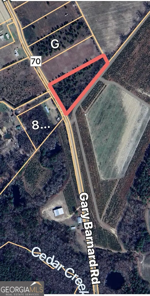 0 Gary Barnard Road #LOT 8, Cobbtown, GA 30420