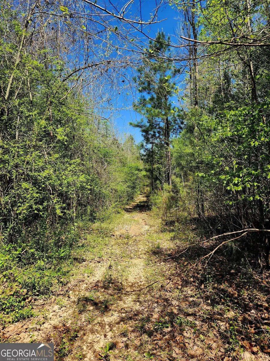 0 Mount Carmel Road, Newnan, GA 30263 - #2