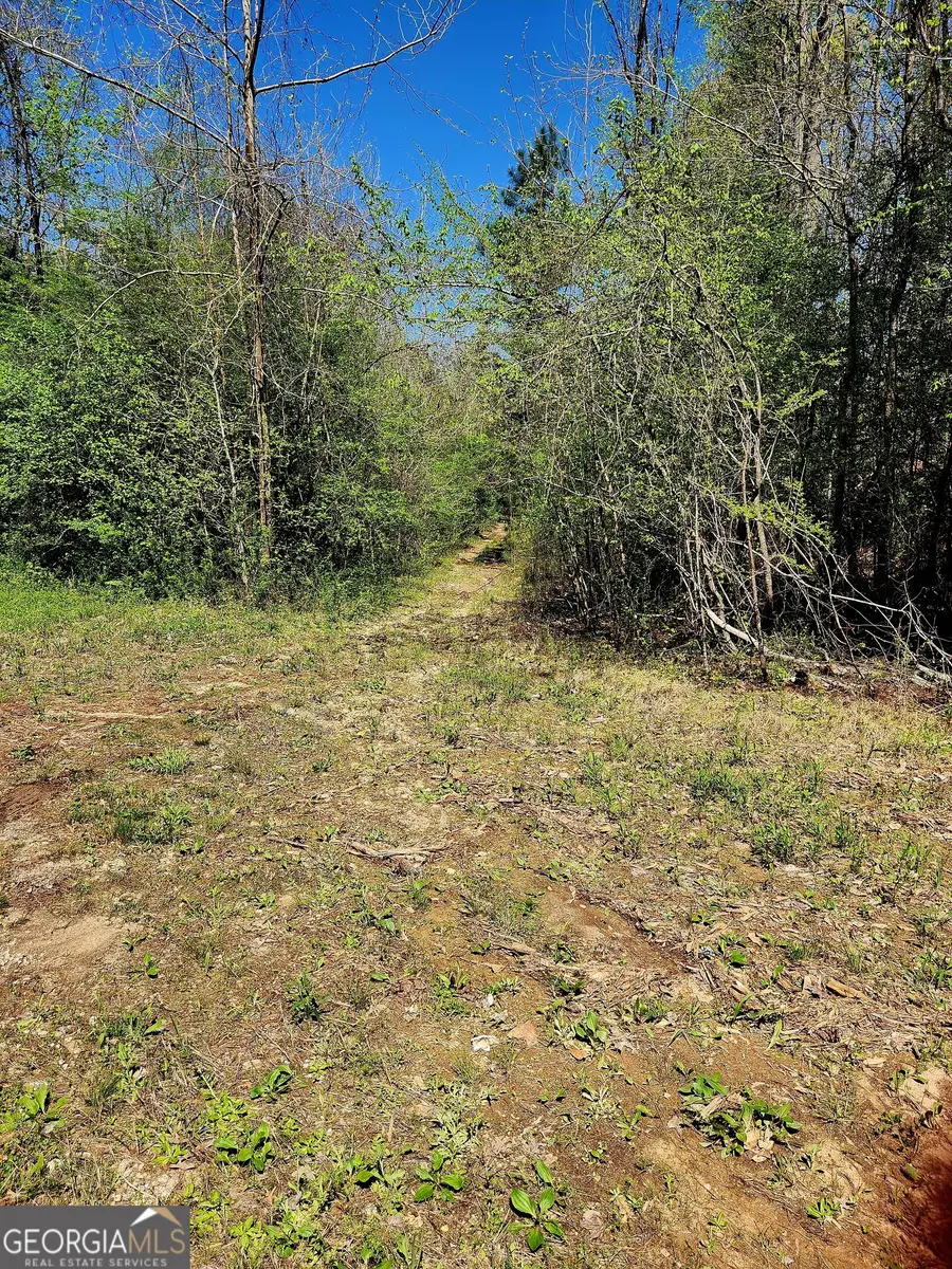 0 Mount Carmel Road, Newnan, GA 30263 - #3