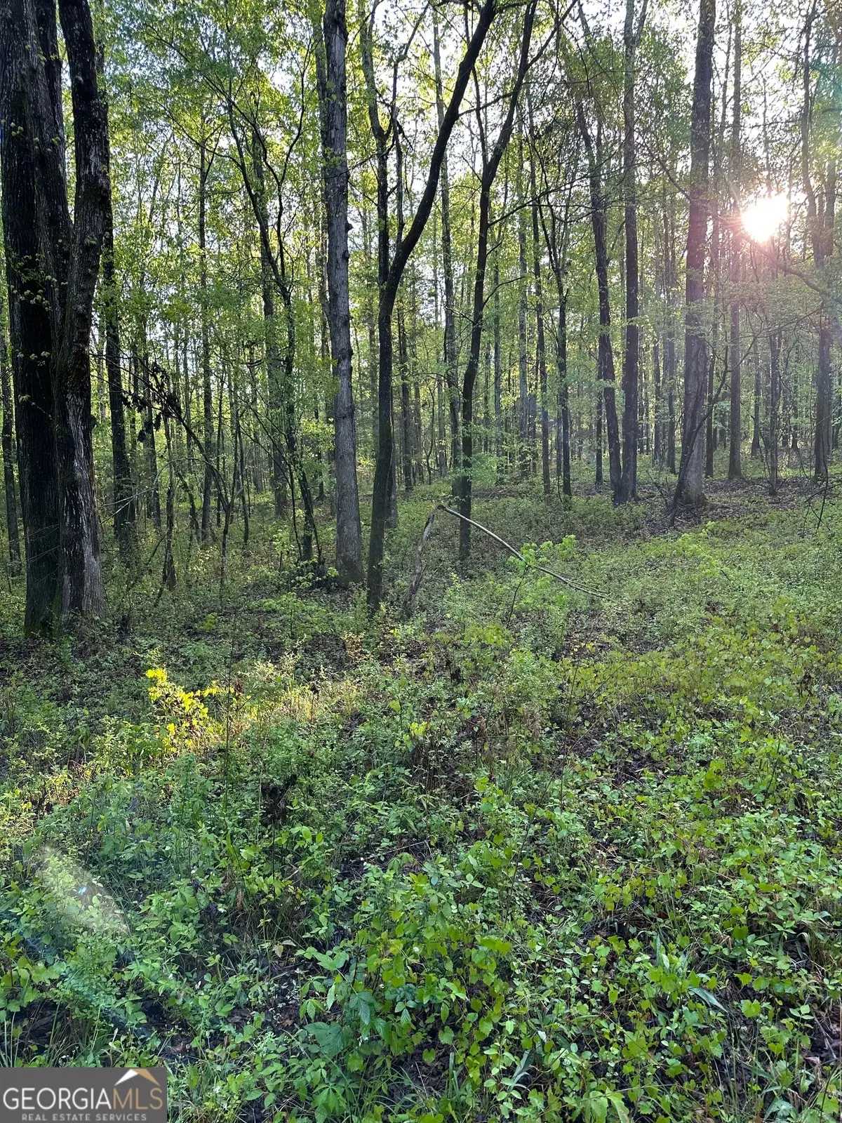 1433 Cleveland Farm Road, Locust Grove, GA 30248 - Image #1