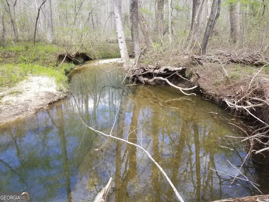 0 Susie Pope Road, Buchanan, GA 30113 - Image #2