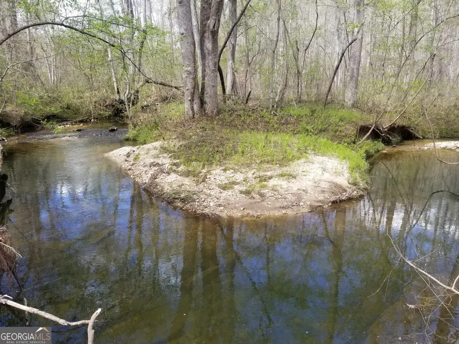 0 Susie Pope Road, Buchanan, GA 30113 - Image #3