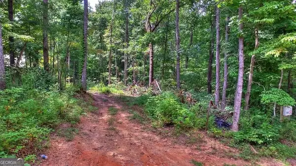 503 Parker, Dallas, GA 30132