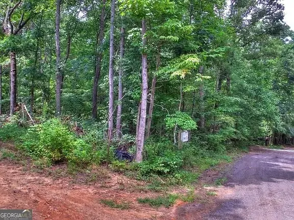 503 Parker, Dallas, GA 30132 - #2