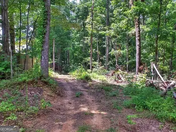 503 Parker, Dallas, GA 30132 - #3