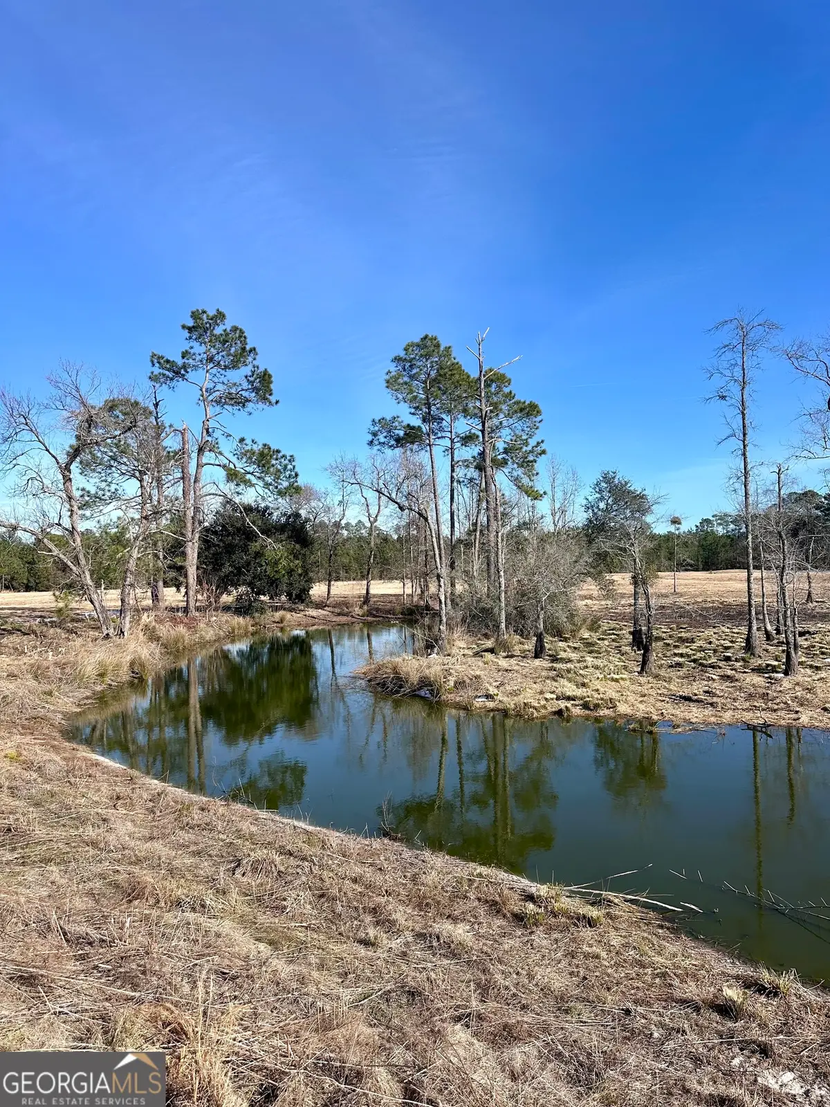 1399 Wildwood Church Road, Pembroke, GA 31321 - Image #1