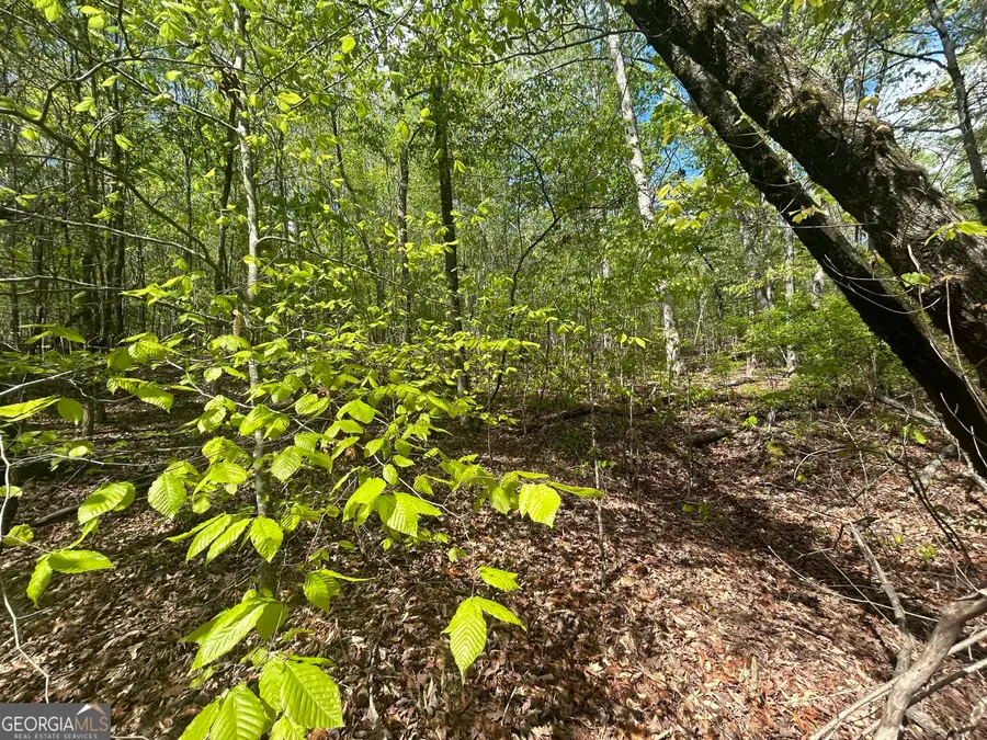 0 Shore Crest Drive #LOT 15, Martin, GA 30557 - Image #2