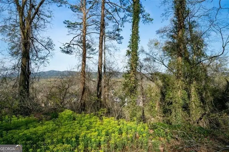 115 Lookout Circle, Rome, GA 30161 - #2