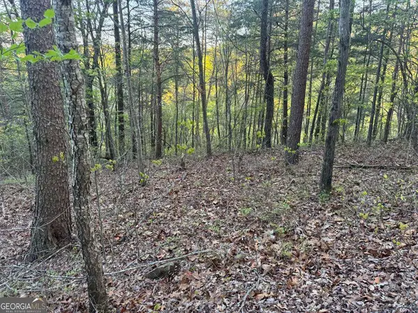 1057 Mayfield Lane Ne, Ranger, GA 30734