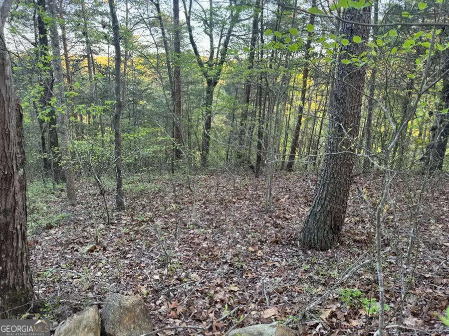 1057 Mayfield Lane Ne, Ranger, GA 30734 - Image #2