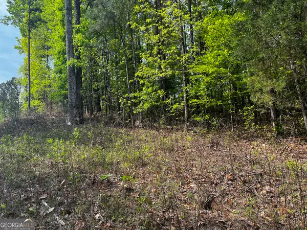 0 Waterview Drive #LOT 34, LaGrange, GA 30241