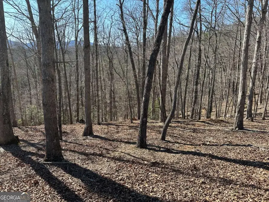 LOT 55 Asheland Cove #55, Young Harris, GA 30582 - Image #3