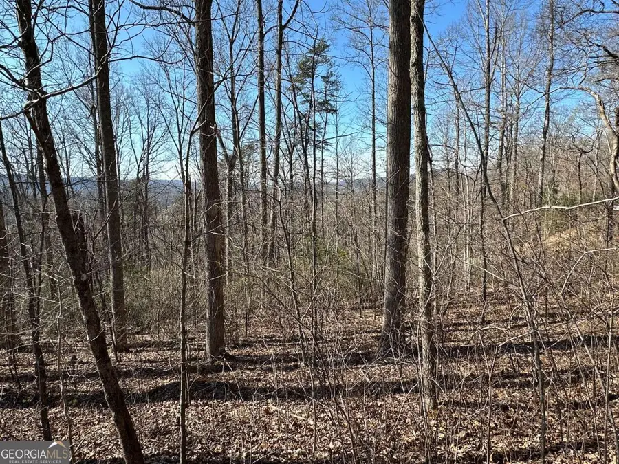 LOT 80 Asheland Cove, Young Harris, GA 30582 - Image #3
