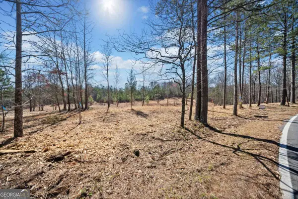 426 Mt. Olive Church Lane, White, GA 30184