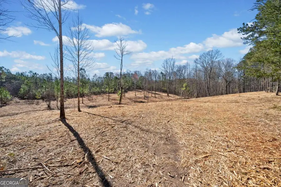 426 Mt. Olive Church Lane, White, GA 30184 - Image #2