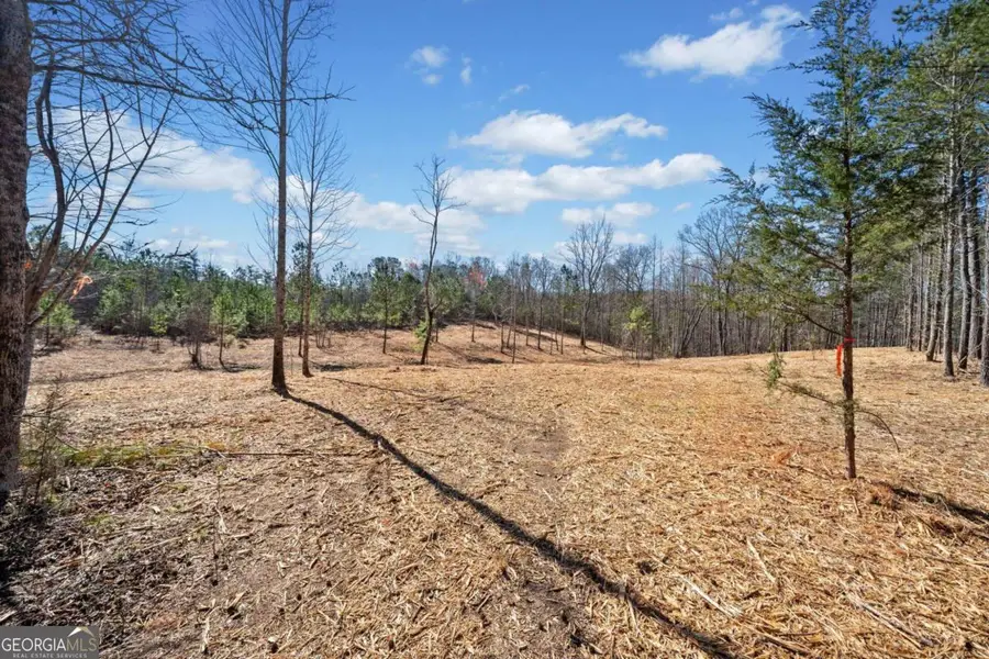 426 Mt. Olive Church Lane, White, GA 30184 - Image #3