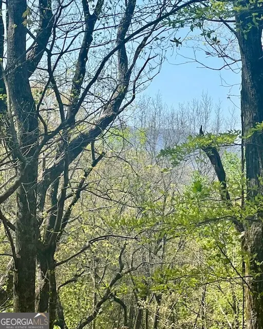 450 Wild Turkey Bluff, Dawsonville, GA 30534 - #1