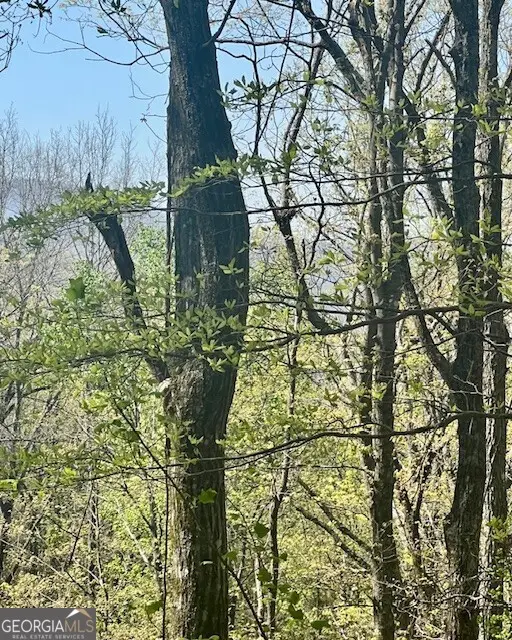 450 Wild Turkey Bluff, Dawsonville, GA 30534 - #2