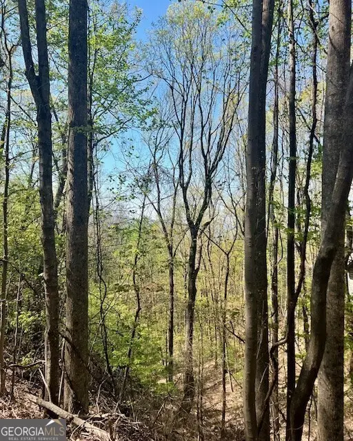 450 Wild Turkey Bluff, Dawsonville, GA 30534 - #3