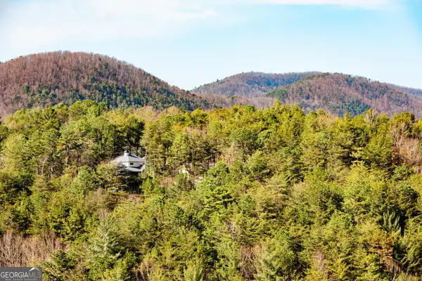 0 Rosen Strasse #LOT, Helen, GA 30545