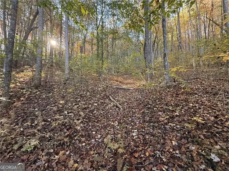 0 Ov Justus Road, Rabun Gap, GA 30568 - Image #2