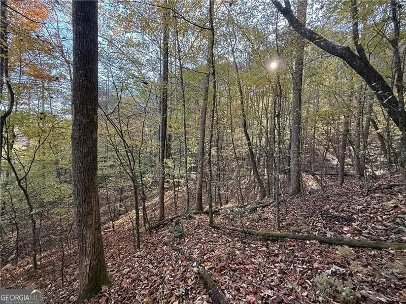 0 Ov Justus Road, Rabun Gap, GA 30568 - Image #3