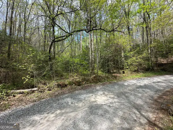 LOT 20 Big Ben Road #20, Ellijay, GA 30540