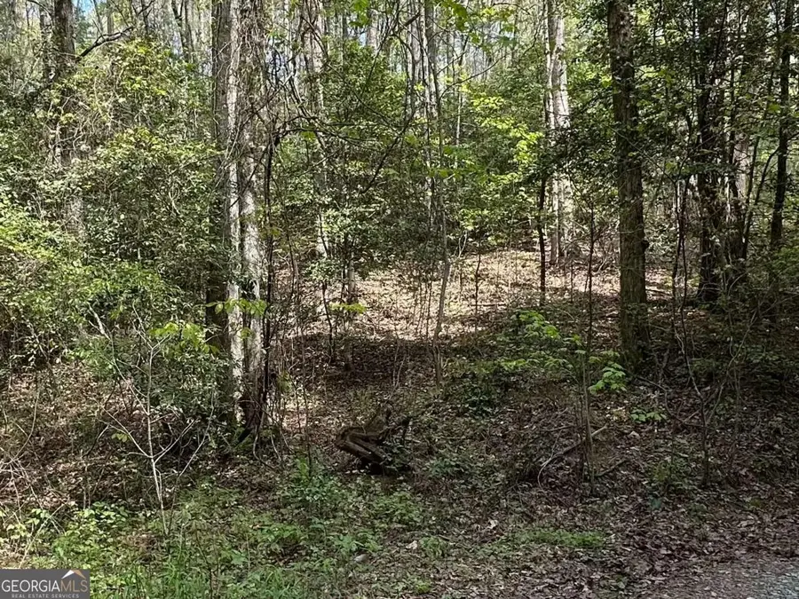 LOT 20 Big Ben Road #20, Ellijay, GA 30540 - Image #2