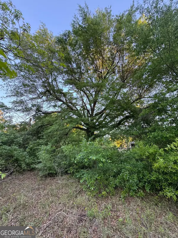 1045 Horseshoe Road, Augusta, GA 30906