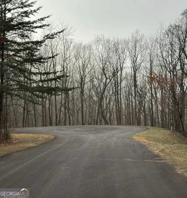 0 Baltusrol Run, Ellijay, GA 30536