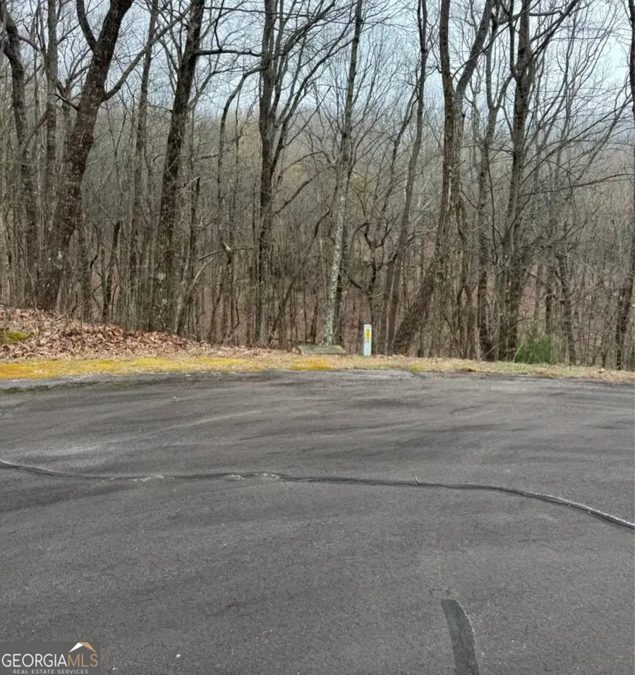 0 Baltusrol Run, Ellijay, GA 30536 - #2