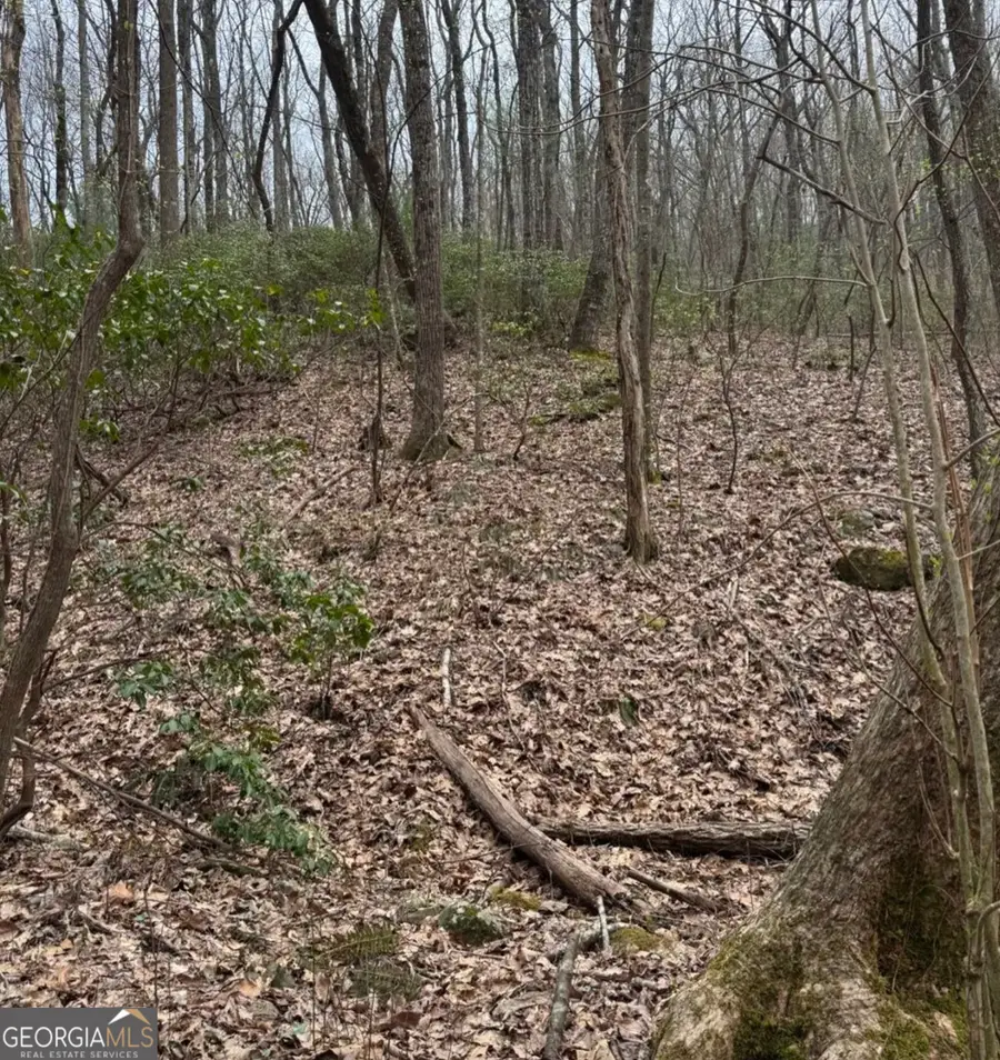 0 Baltusrol Run, Ellijay, GA 30536 - #3