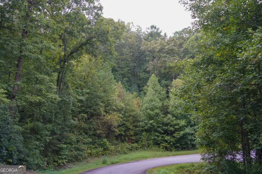 0 Heavenly Circle #12, Clayton, GA 30525 - Image #2