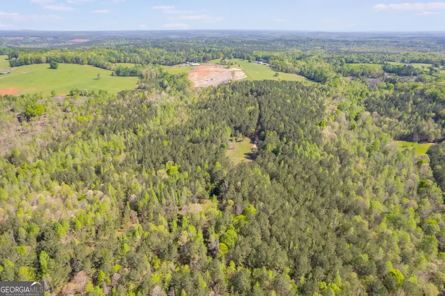 0 Lipham Road, Franklin, GA 30217 - Image #3